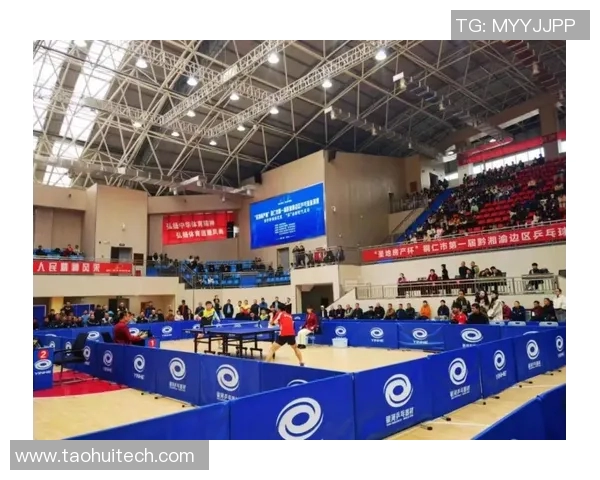 科学乒乓球团队协作训练方法探讨与实践分享