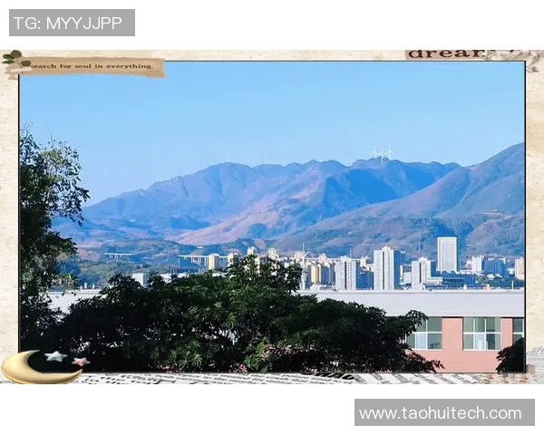 武汉乒乓球队的崛起与发展探索展现乒乓球运动的无限魅力